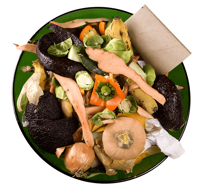 Green bin food scraps
