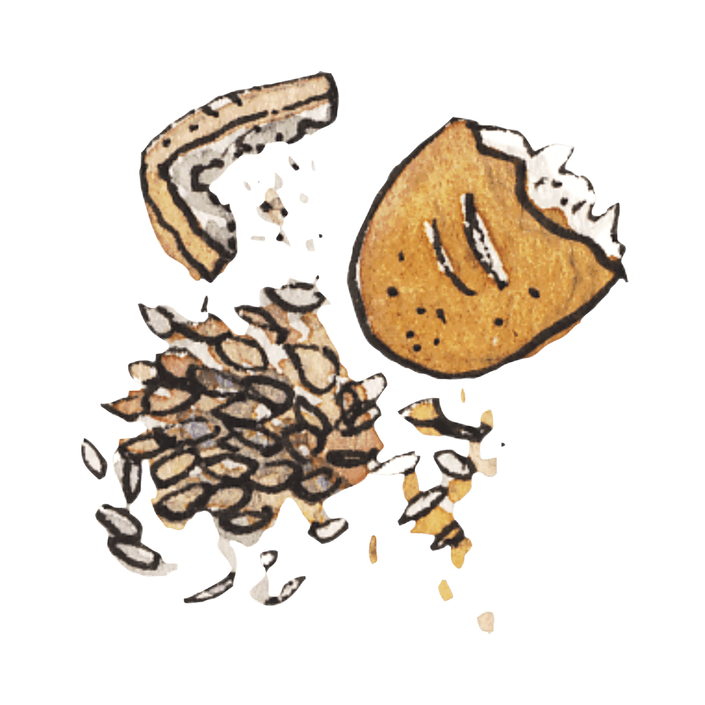 Illustration of pieces of bread