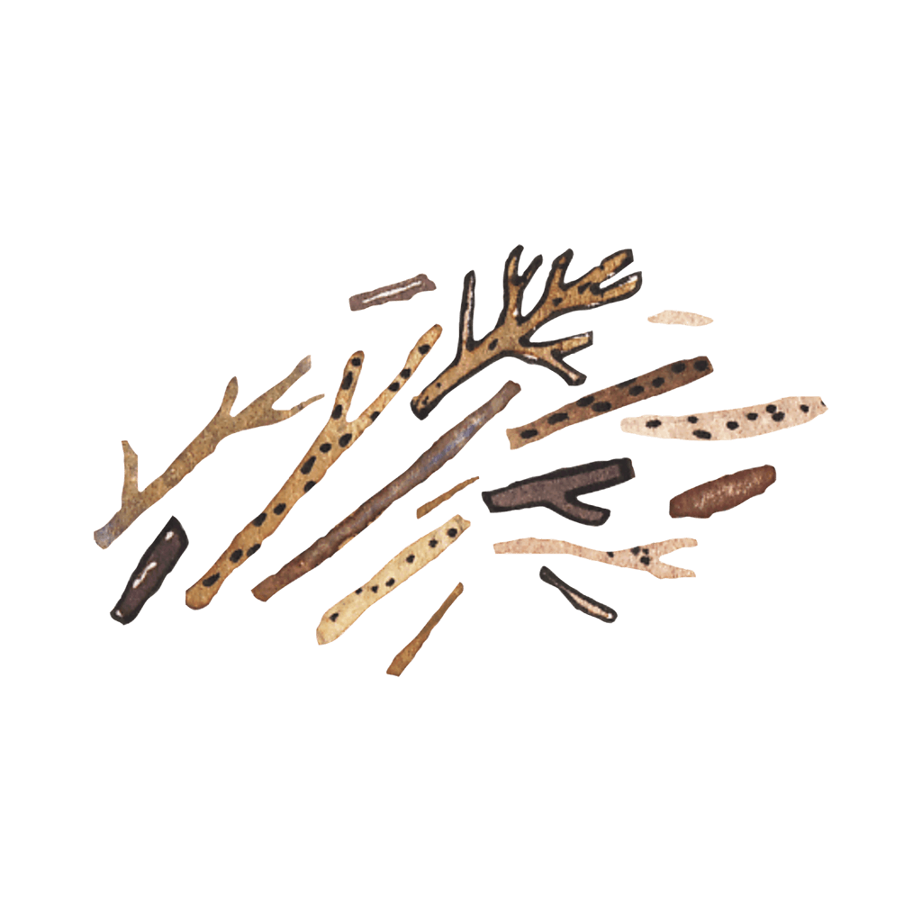 Illustration of sticks and branches