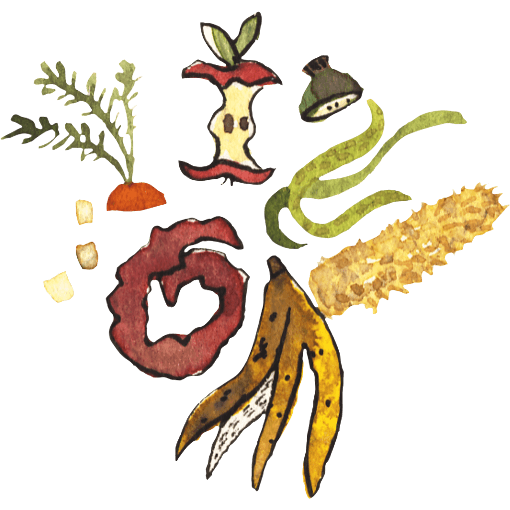 Fruits and vegetable rinds.
