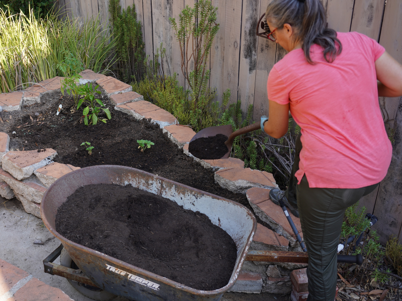 A person adding mulch to a garden